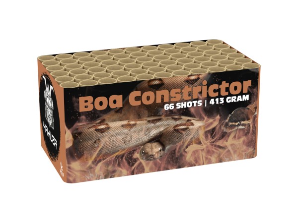 6x Boa Constrictor (03257) 66-shots Cakebox