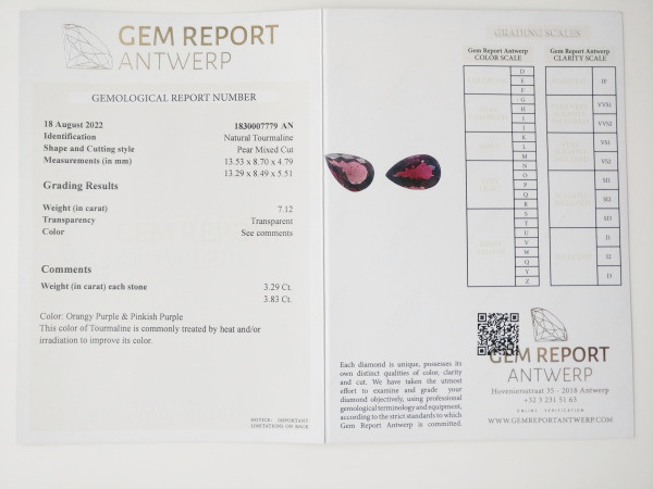 7.23ct Tourmaline and Diamond Earrings – foto 7 – kavel bij XL Auctions