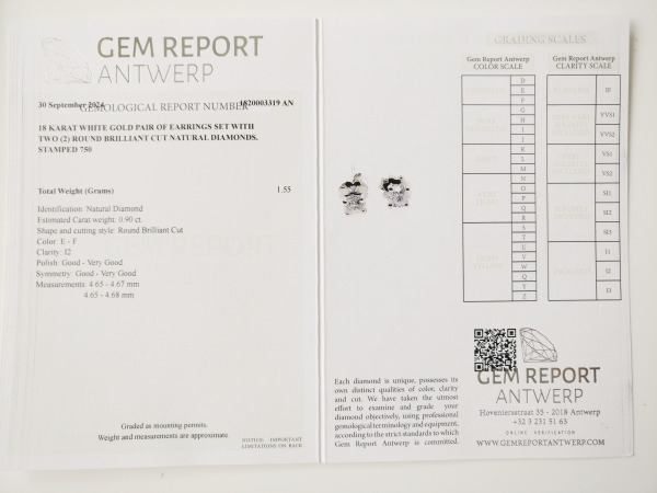 0.90ct Diamond Earrings – foto 7 – kavel bij XL Auctions