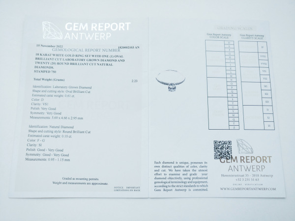 0.71ct Lab Grown Diamond and Diamond Ring – foto 7 – kavel bij XL Auctions