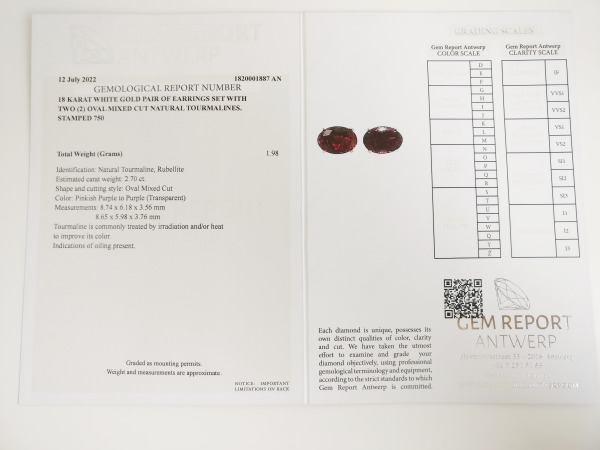 2.70ct Rubellite Earrings – foto 7 – kavel bij XL Auctions