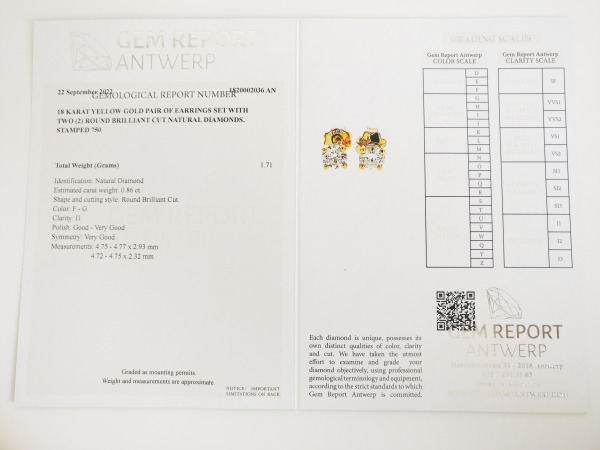 0.86ct Diamond Earrings – foto 8 – kavel bij XL Auctions
