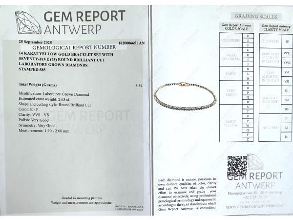 2.63ct Lab Grown Diamond Bracelet – foto 4 – kavel bij XL Auctions