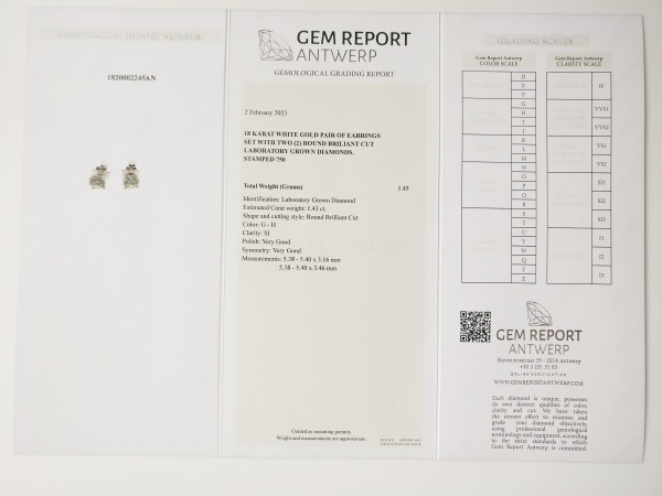 1.43ct Lab Grown Diamond Earrings – foto 4 – kavel bij XL Auctions