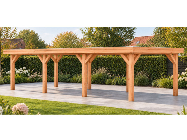 Douglas overkapping 400x1000x253cm – foto 7 – kavel bij XL Auctions