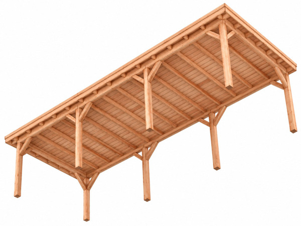 Douglas overkapping 400x800x253cm – foto 4 – kavel bij XL Auctions