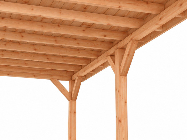 Douglas overkapping 400x500x253cm – foto 7 – kavel bij XL Auctions
