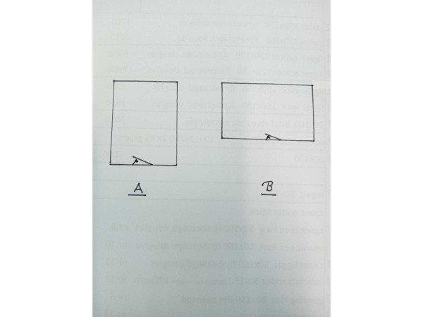 Tuinhuis triple-profiel 295x350x240 cm – foto 11 – kavel bij XL Auctions
