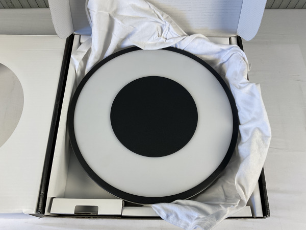 Philips Hue Being Plafond Lamp – foto 2 – kavel bij XL Auctions