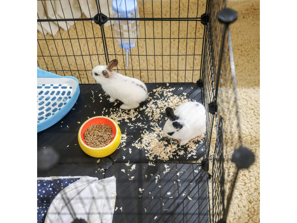 Metalen gaaskooi voor kleine dieren met vloerplaten – foto 2 – kavel bij XL Auctions