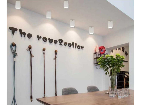 10x Downlight Houder – Cilindrisch – Wit/Chroom – kavel bij XL Auctions