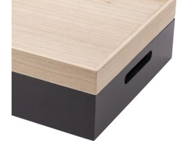Luxe Opbergbox met Dienblad – foto 2 – kavel bij XL Auctions