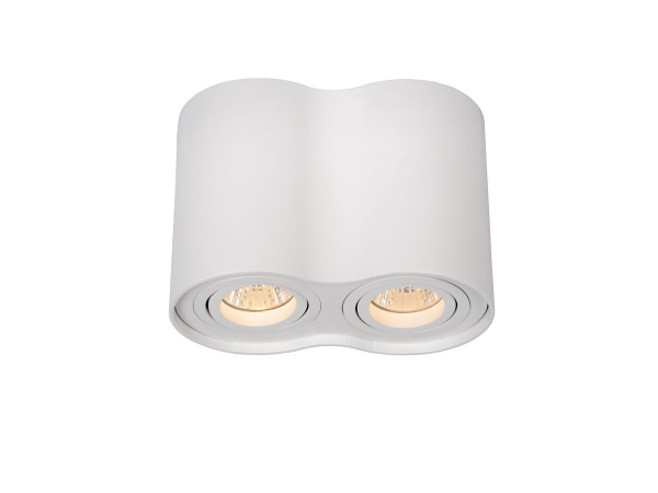 Lucide Tube Modern Surface Mounted Ceiling Spotlight 2x GU10 – kavel bij XL Auctions