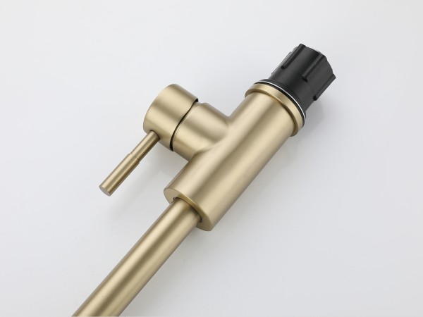 DT9A0156b