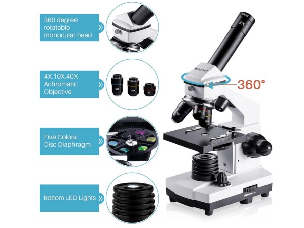 BEBANG Microscoop 100X-2000X