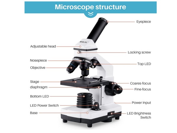 BEBANG Microscoop 100X-2000X1