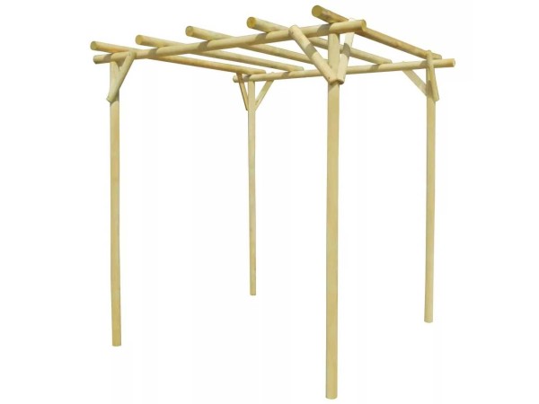 vidaxl-vrijstaande-pergola-200x200x200cm