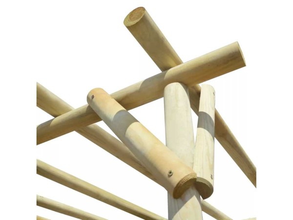 vidaxl-vrijstaande-pergola-200x200x200cm