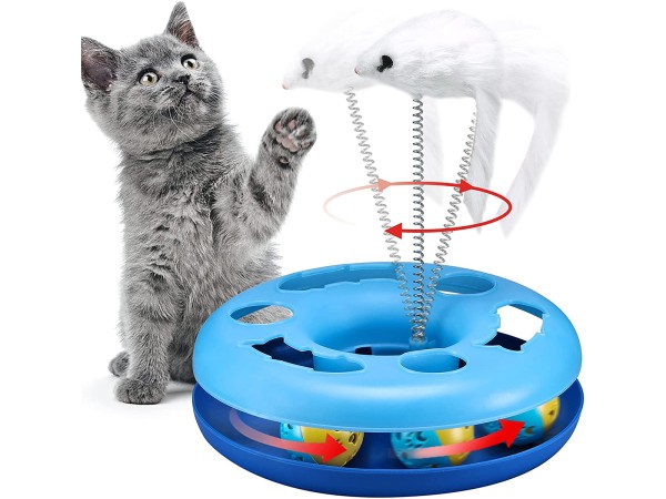 Kattenspeeltje