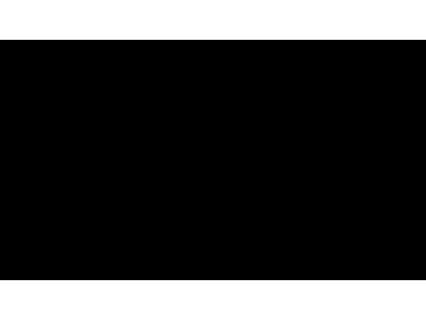 9008606258567_2