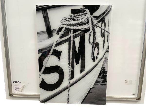 Boot Romp Plexiglas Cobra Art
