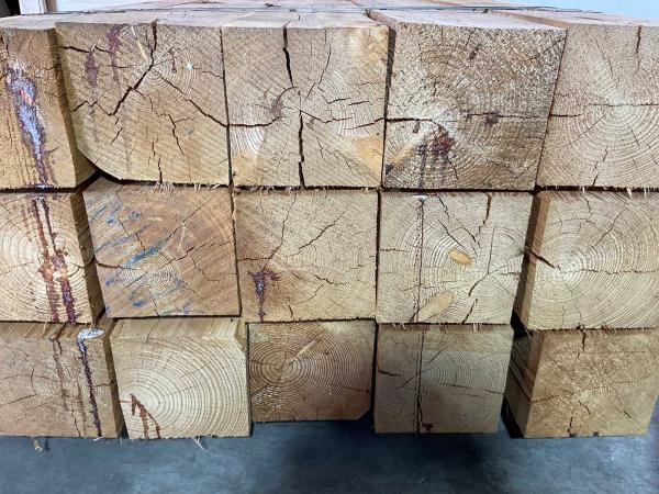 6x-douglas-paal-fijnbezaagd-500x20x20-cm