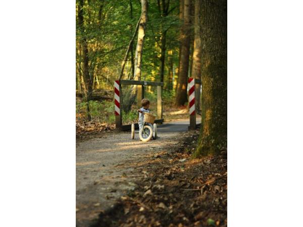 8719189161786_Trybike-Steel-Loopfiets-Vintage-Blauw-4