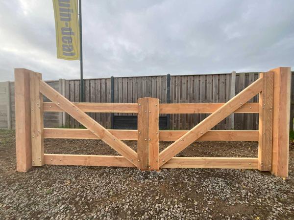 Dubbele poort Douglas 300x100 cm