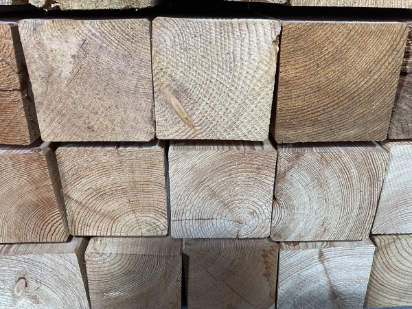 4x-douglas-tuinpaal-500x15x15-cm