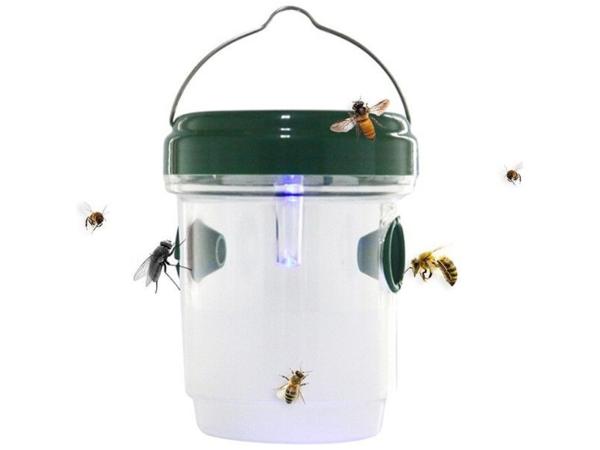 BVA1