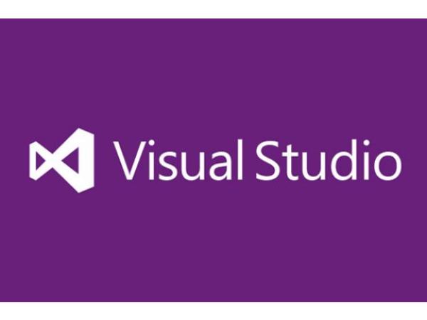 932505448_Wat-is-Visual-Studio-3173