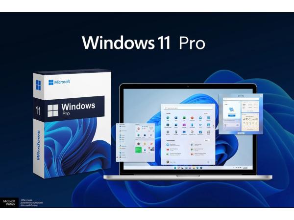 MicrosoftWindows11Pro