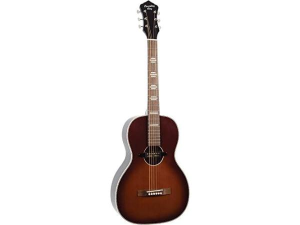 Recording King RPS-7-E Elektrisch Gitaar