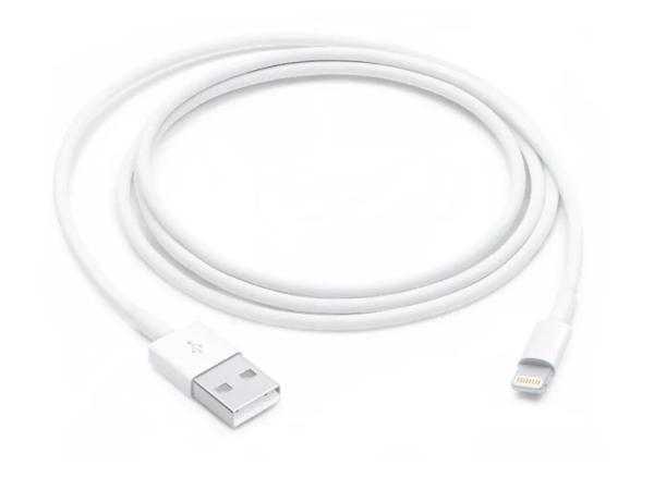 Apple Lightning naar USB Cable (1m)