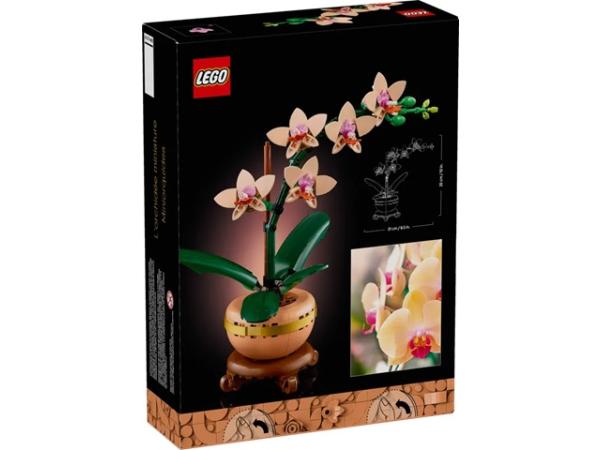  LEGO Icons 10343 Miniorchidee
