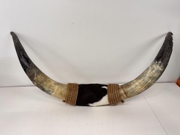 Bullbar 78 cm